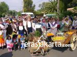 Karpet Raksasa dari Bunga 008